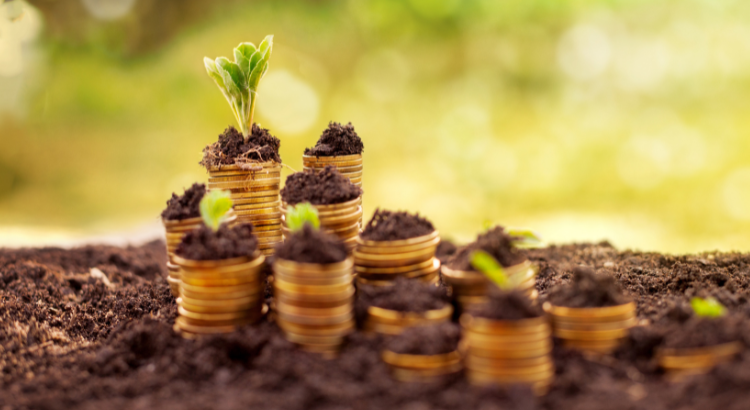 O que é Poupança e como funciona portal renda investimentos dinheiro renda fixa renda variavel criptmoedas fundos imobiliarios