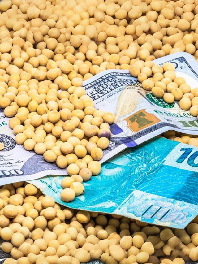 Queda do dólar tira até R$ 5 saca dos preços nos portos do Brasil portal renda investimentos dinheiro rend fixa renda variavel criptmoedas fundos imobiliarios Capa Web Stories