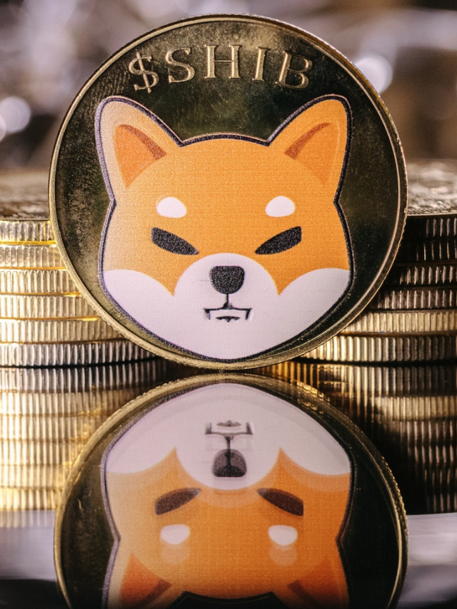 O que é Shiba Inu (SHIB) portal renda investimentos dinheiro renda fixa renda variavel criptmoedas fundos imobiliarios Capa Web Stories