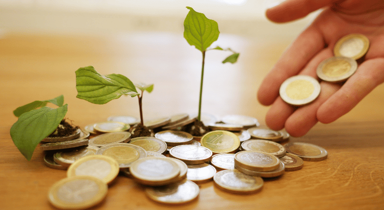 Investimentos atrelados ao CDI portal renda investimentos dinheiro renda fixa renda variavel criptmoedas fundos imobiliarios