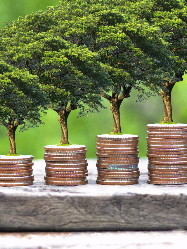 O que é economia alternativa portal renda investimentos dinheiro renda fixa renda variavel criptmoedas fundos imobiliarios Capa Web Stories